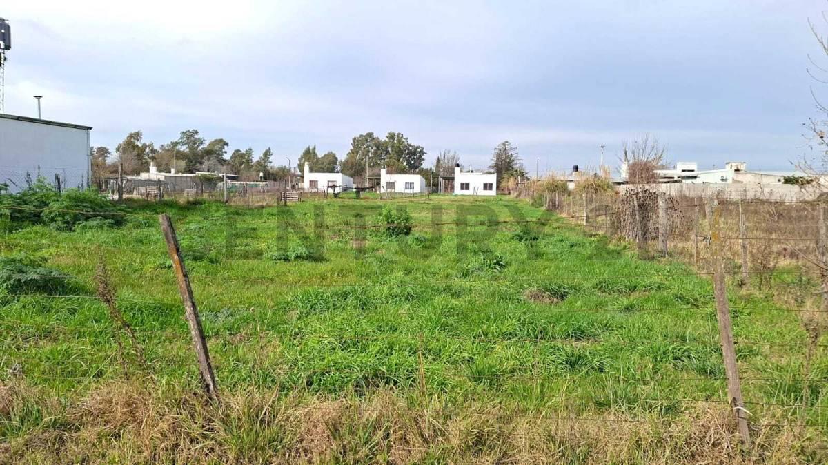 Foto de Venta de Terreno 885 m2 en BARRIO EL CRUCE. VENADO TUERTO, imagen 2