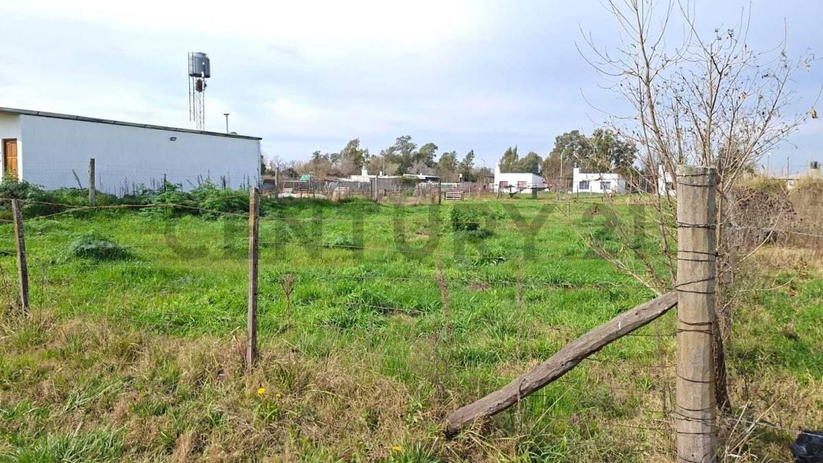 Foto de Venta de Terreno 885 m2 en BARRIO EL CRUCE. VENADO TUERTO, imagen 3
