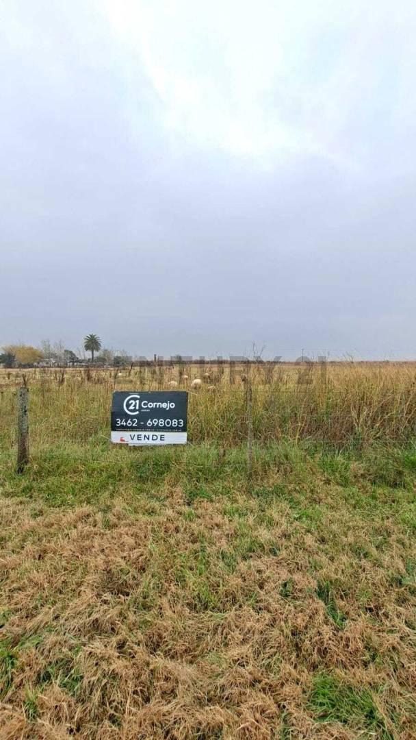 Foto de TERRENO EN VENTA EN SAN EDUARDO, imagen 3