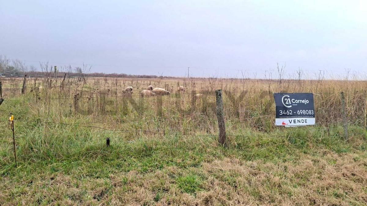 Foto de TERRENO EN VENTA EN SAN EDUARDO, imagen 1