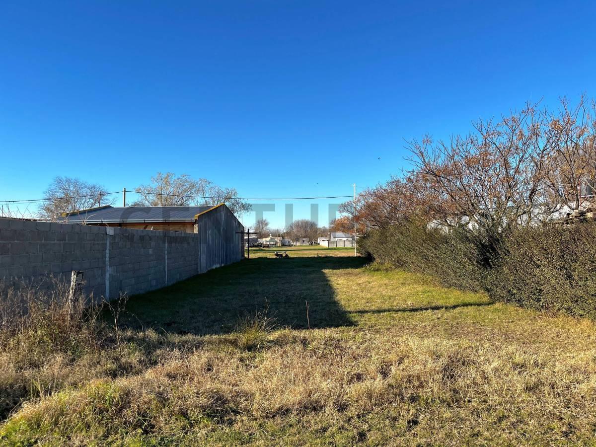 Foto de TERRENO EN VENTA EN AMENABAR, imagen 1