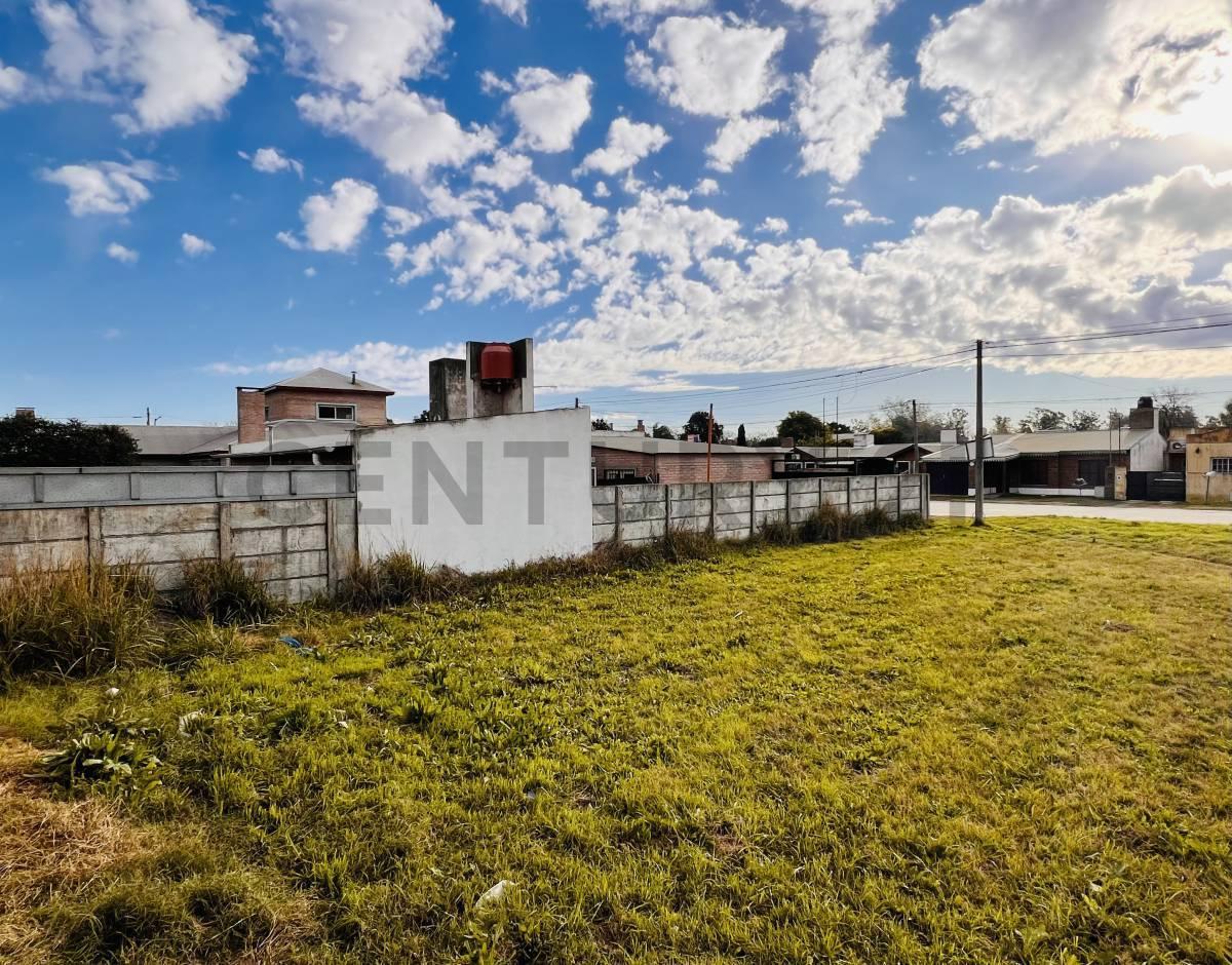 Foto de TERRENO EN VENTA EN VENADO TUERTO, imagen 5