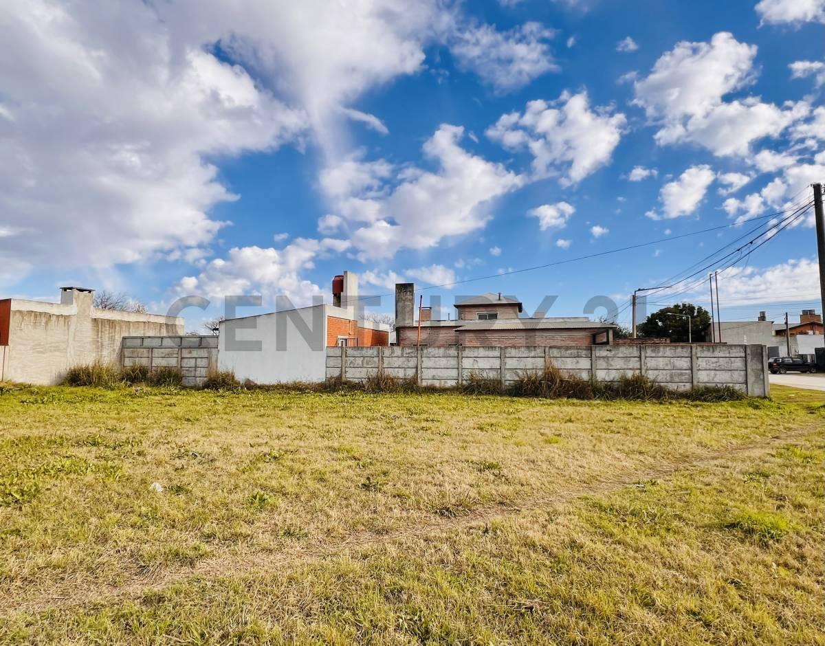 Foto de TERRENO EN VENTA EN VENADO TUERTO, imagen 2