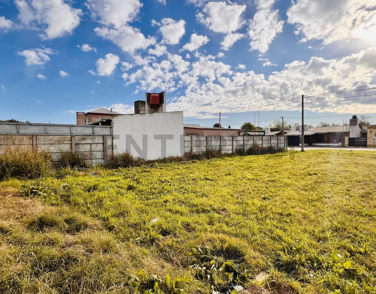 Foto de TERRENO EN VENTA EN VENADO TUERTO, imagen 3