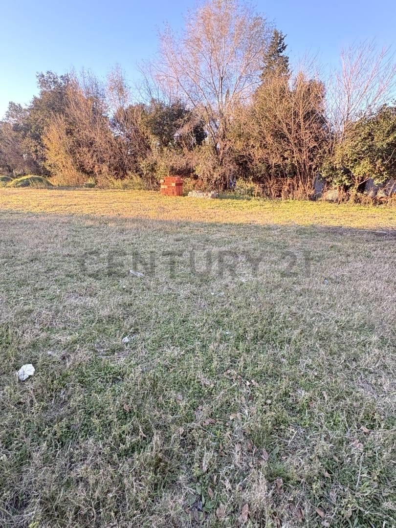 Foto de TERRENO EN VENADO TUERTO -INVERSIÓN INTELIGENTE EN ZONA DE CRECIMIENTO, imagen 5