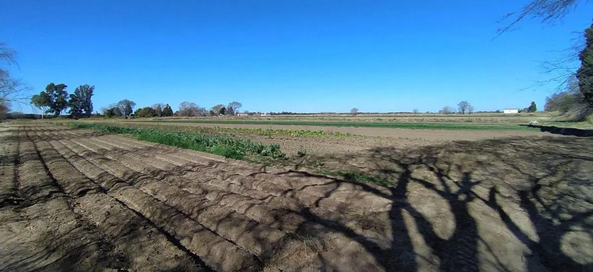 VENTA TERRENO/HECTÁREA EN ZONA SUR CÓRDOBA ZONA O'HIGGINS 2