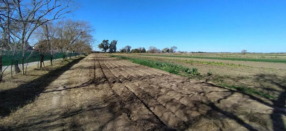 VENTA TERRENO/HECTÁREA EN ZONA SUR CÓRDOBA ZONA O'HIGGINS 3