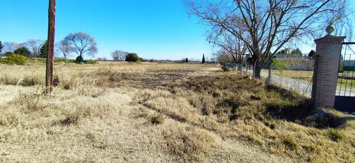 VENTA TERRENO/HECTÁREA EN ZONA SUR CÓRDOBA ZONA O'HIGGINS 5