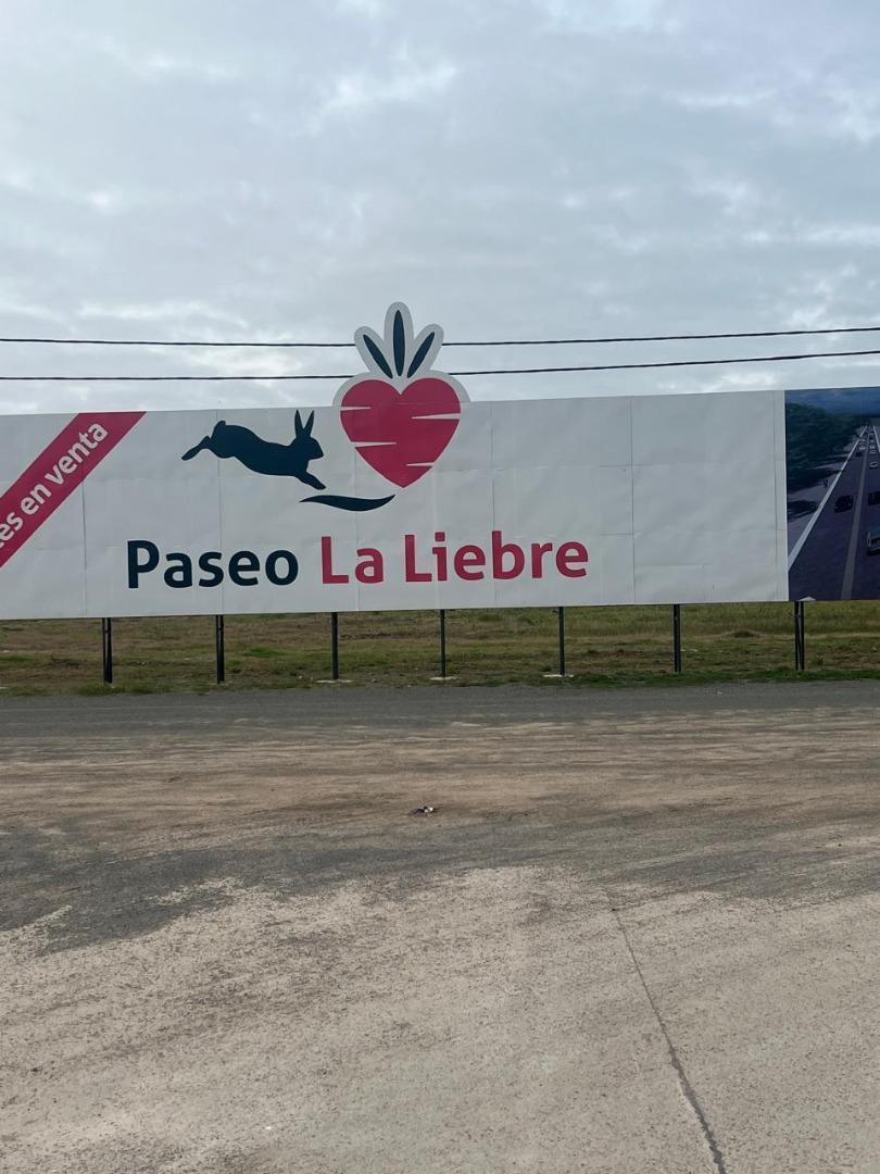 Foto de ALQUILER LOCAL Y DEPOSITO EN CAÑUELAS PASEO LA LIEBRE, imagen 4