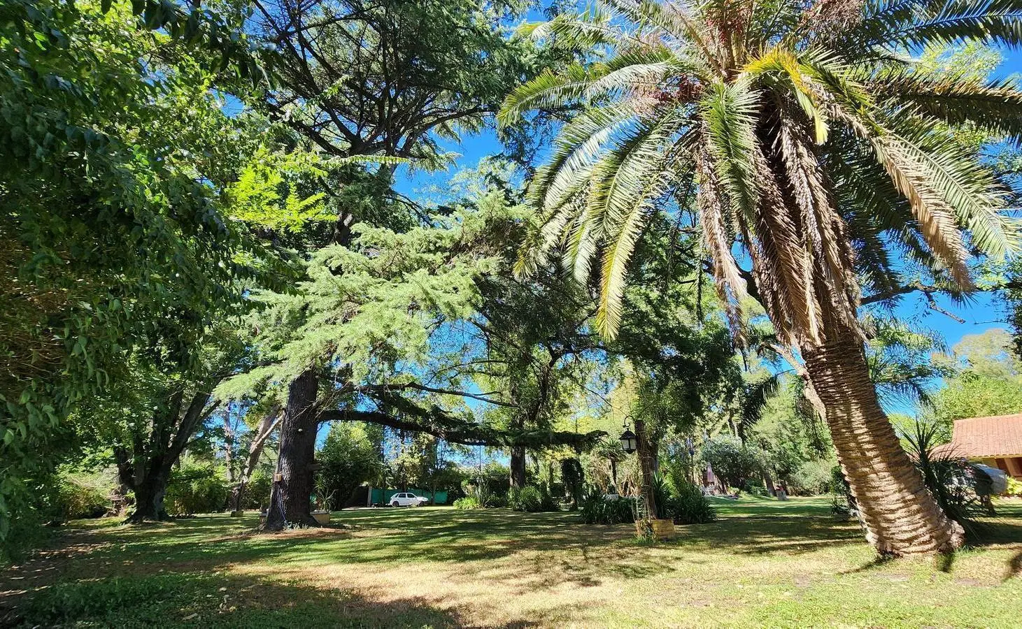 OPORTUNIDAD VENTA  LOTE 6000 m2  en  DEL VISO PILAR 5