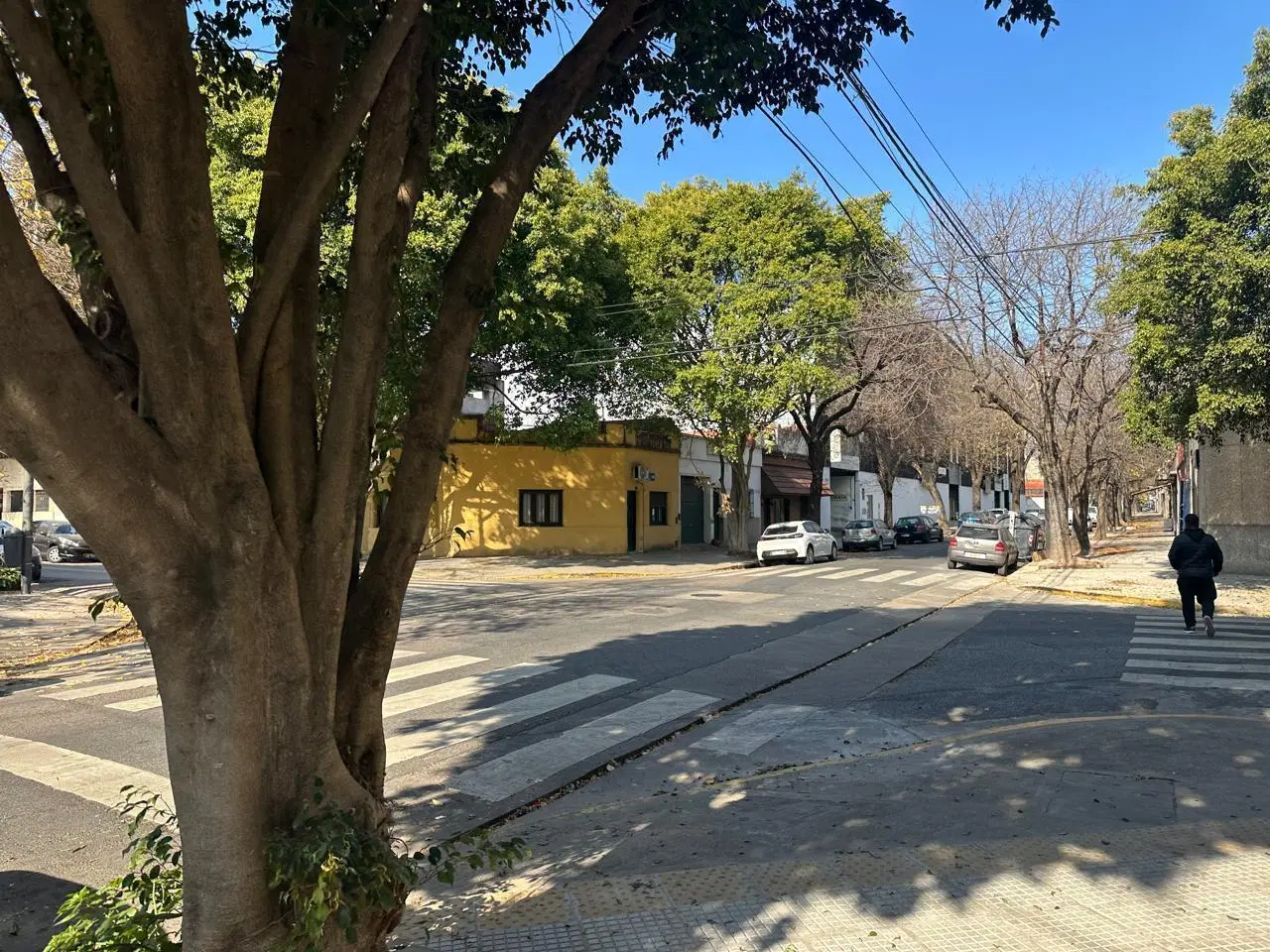 Terreno en Villa Ortuzar 5