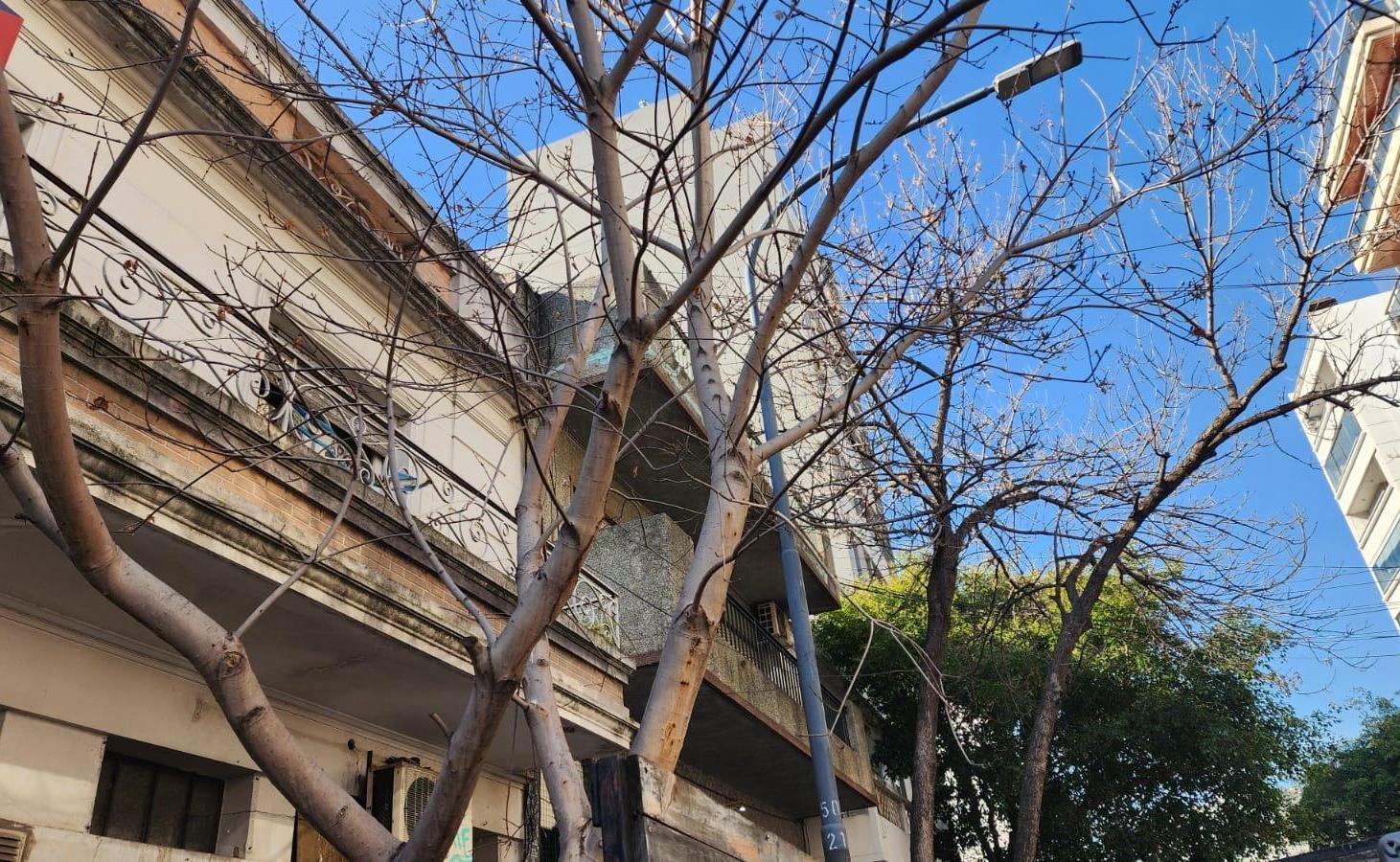 Foto de Venta LOTE acepta METROS O PERMUTA, imagen 4