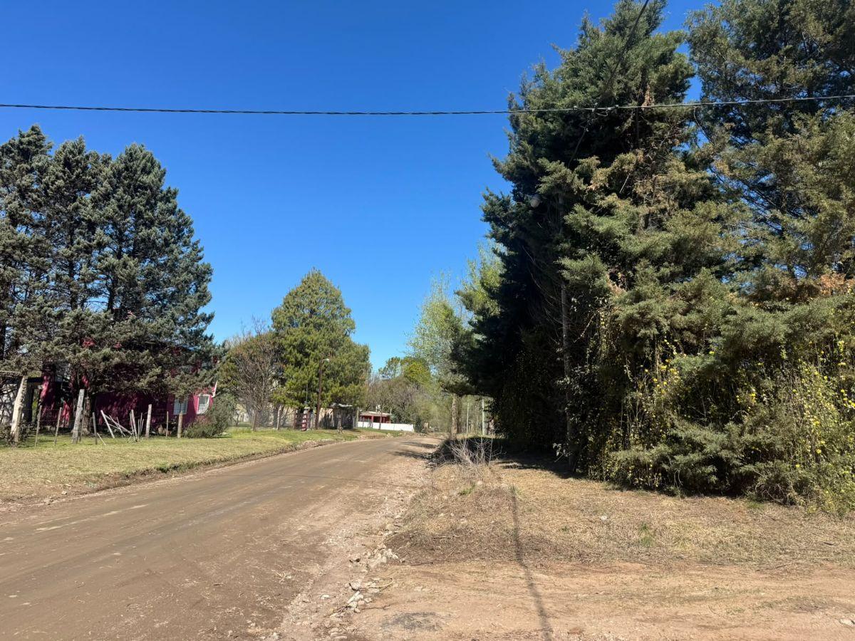 Foto de Lote en esquina sobre la calle principal - 800 m², imagen 3
