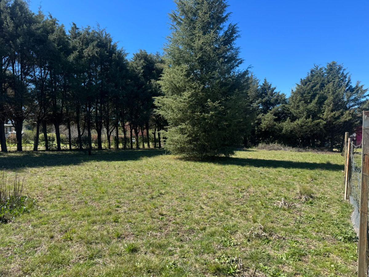 Foto de Lote en esquina sobre la calle principal - 800 m², imagen 4