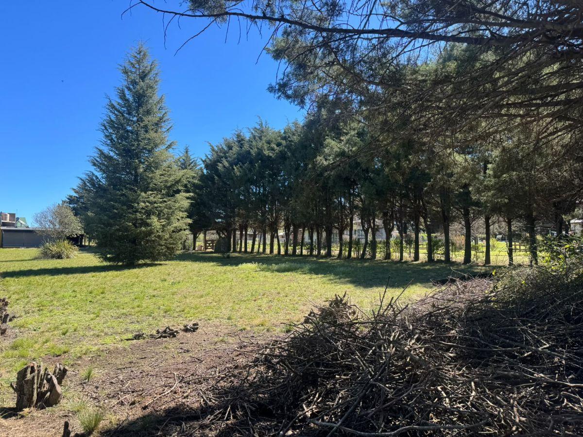 Foto de Lote en esquina sobre la calle principal - 800 m², imagen 1