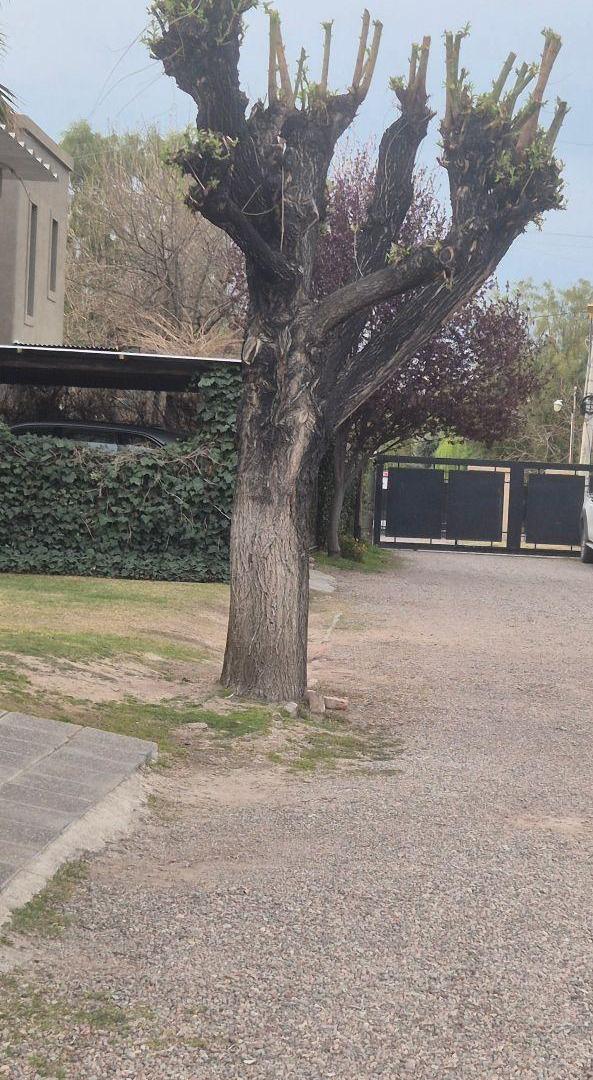 Foto de CHACRAS DE CORIA rápido acceso por guardia vieja o almirante brown, imagen 3