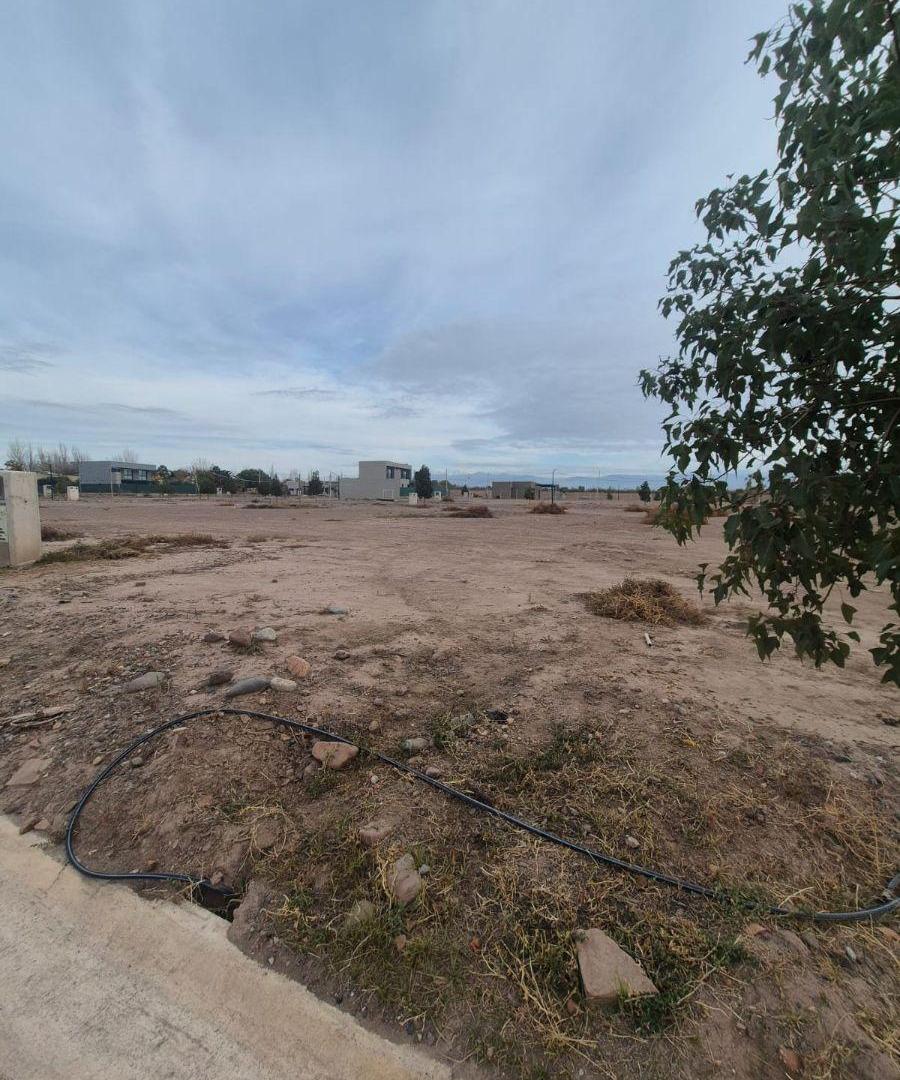 Foto de B° LAS TACAS VENDE LOTES CENTRALES-OPORTUNIDAD. COQUIMBITO-MAIPU-MENDOZA, imagen 5
