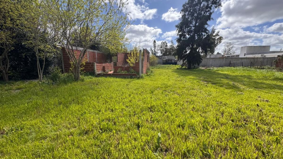 Foto de Terreno en La Reja, imagen 3