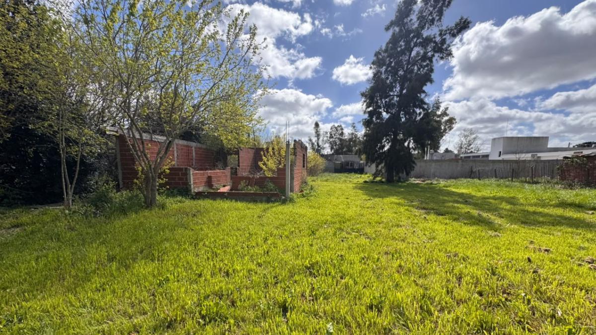 Foto de Terreno en La Reja, imagen 4