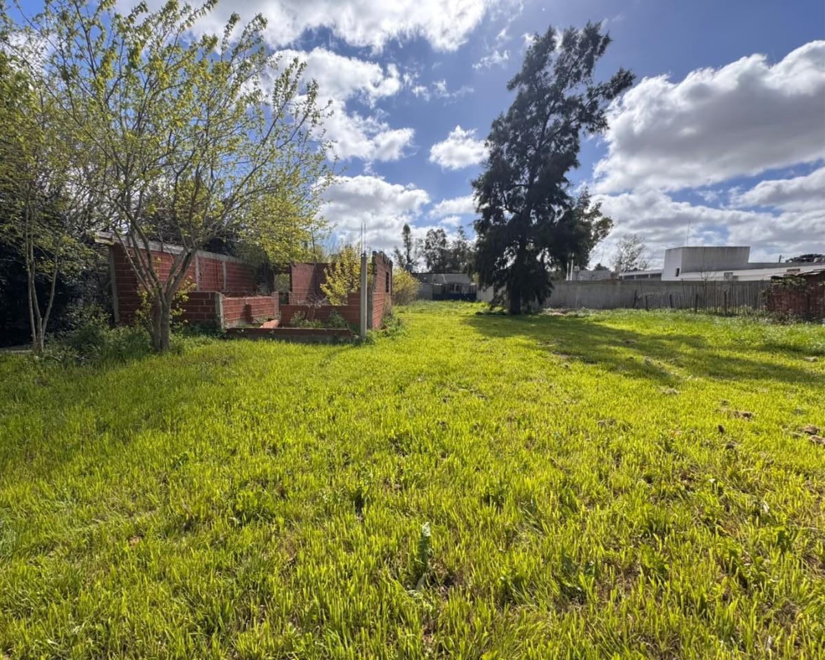 Foto de Terreno en La Reja, imagen 5