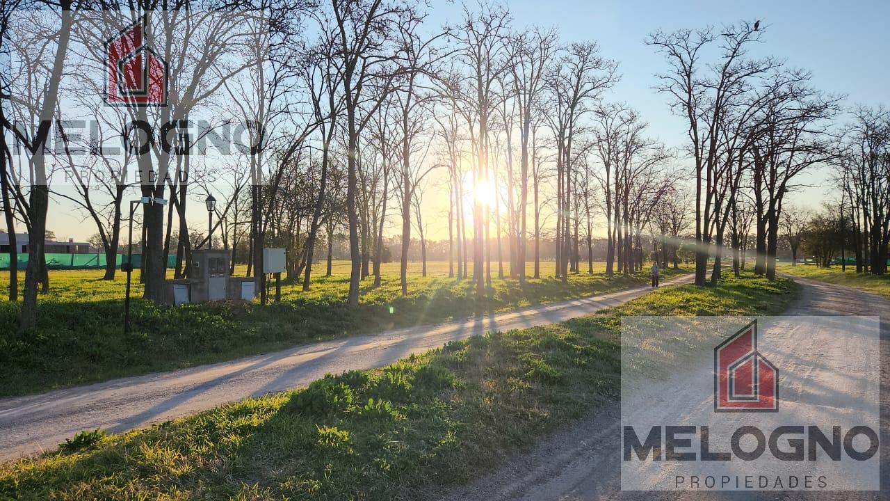 Foto de Terreno en Venta Barrio Santa Ines, imagen 3