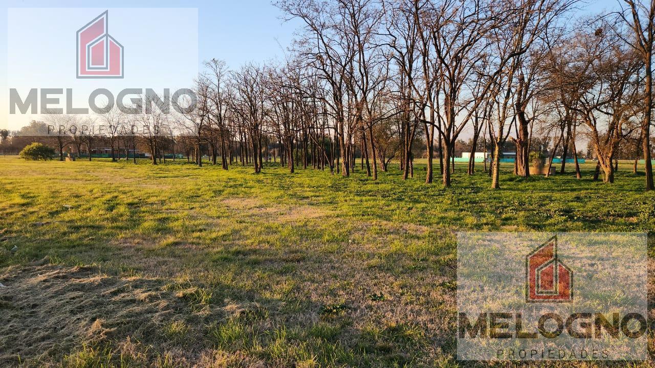 Foto de Terreno en Venta Barrio Santa Ines, imagen 2