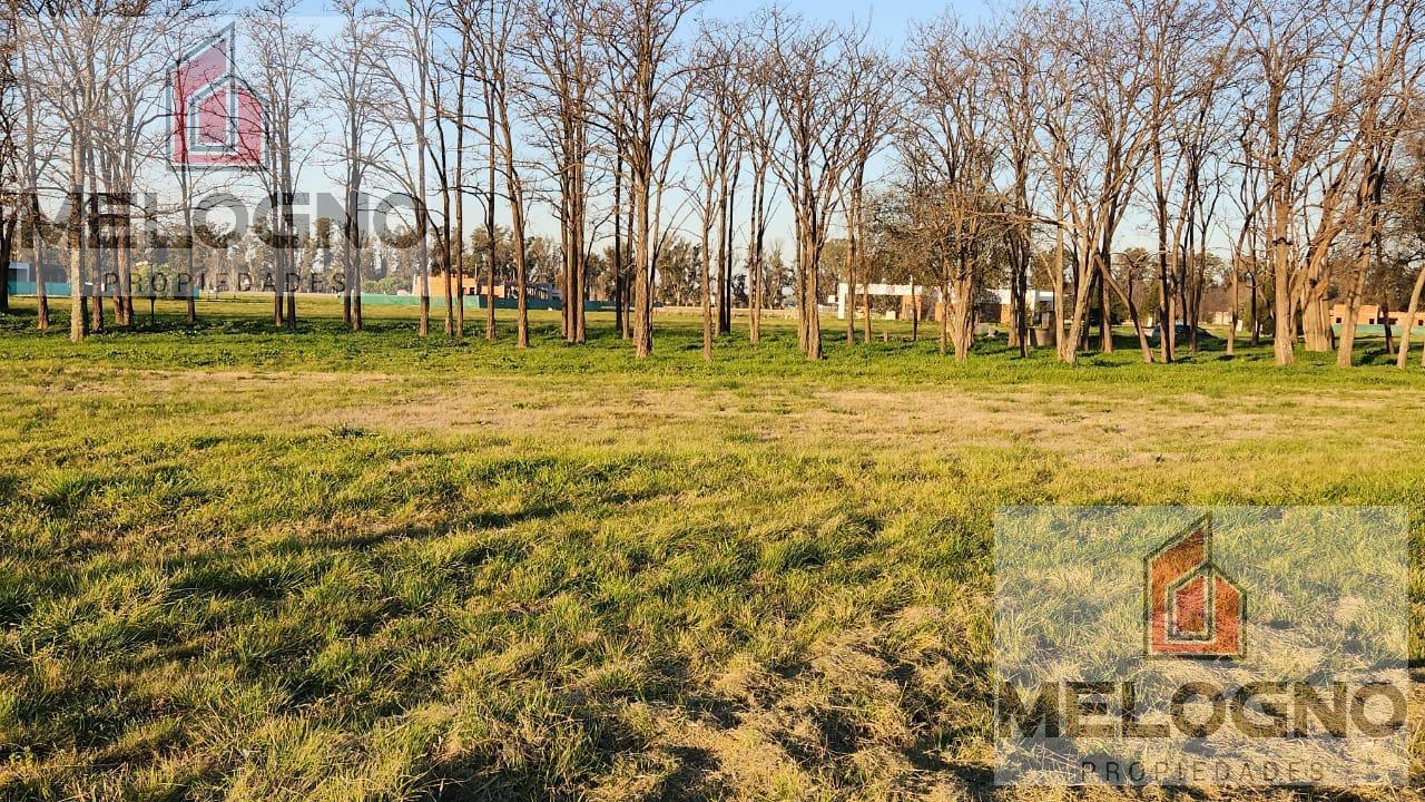 Foto de Terreno en Venta Barrio Santa Ines, imagen 4