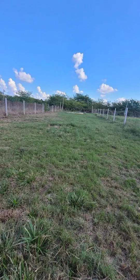 Terreno de 600 m2 en Villa Elisa 2