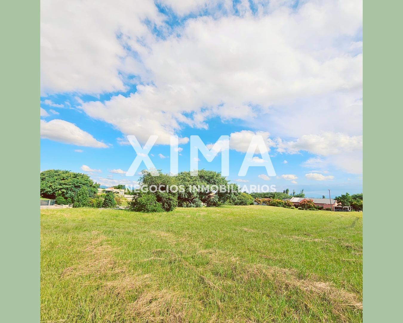 Foto de Terreno en venta El Tipal, imagen 3