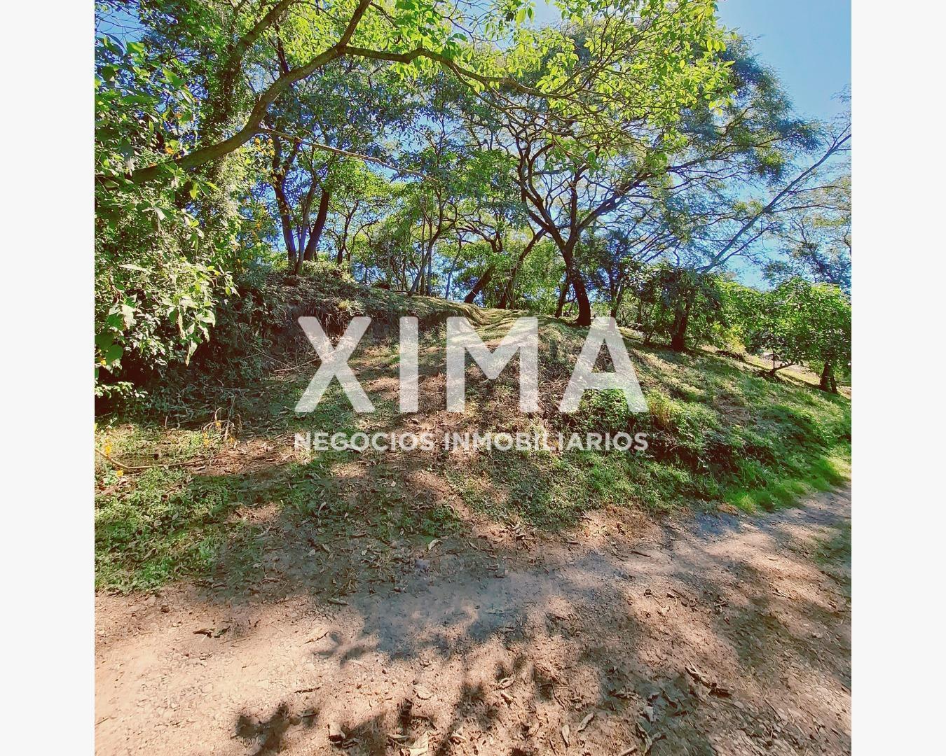 Foto de Terreno en venta La Aguada, imagen 4