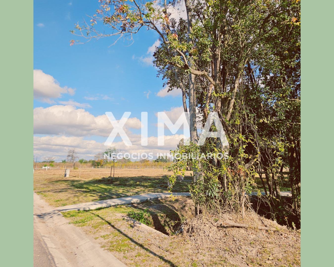 Foto de Muy lindo terreno en venta en La Arbolada Club de campo, imagen 5