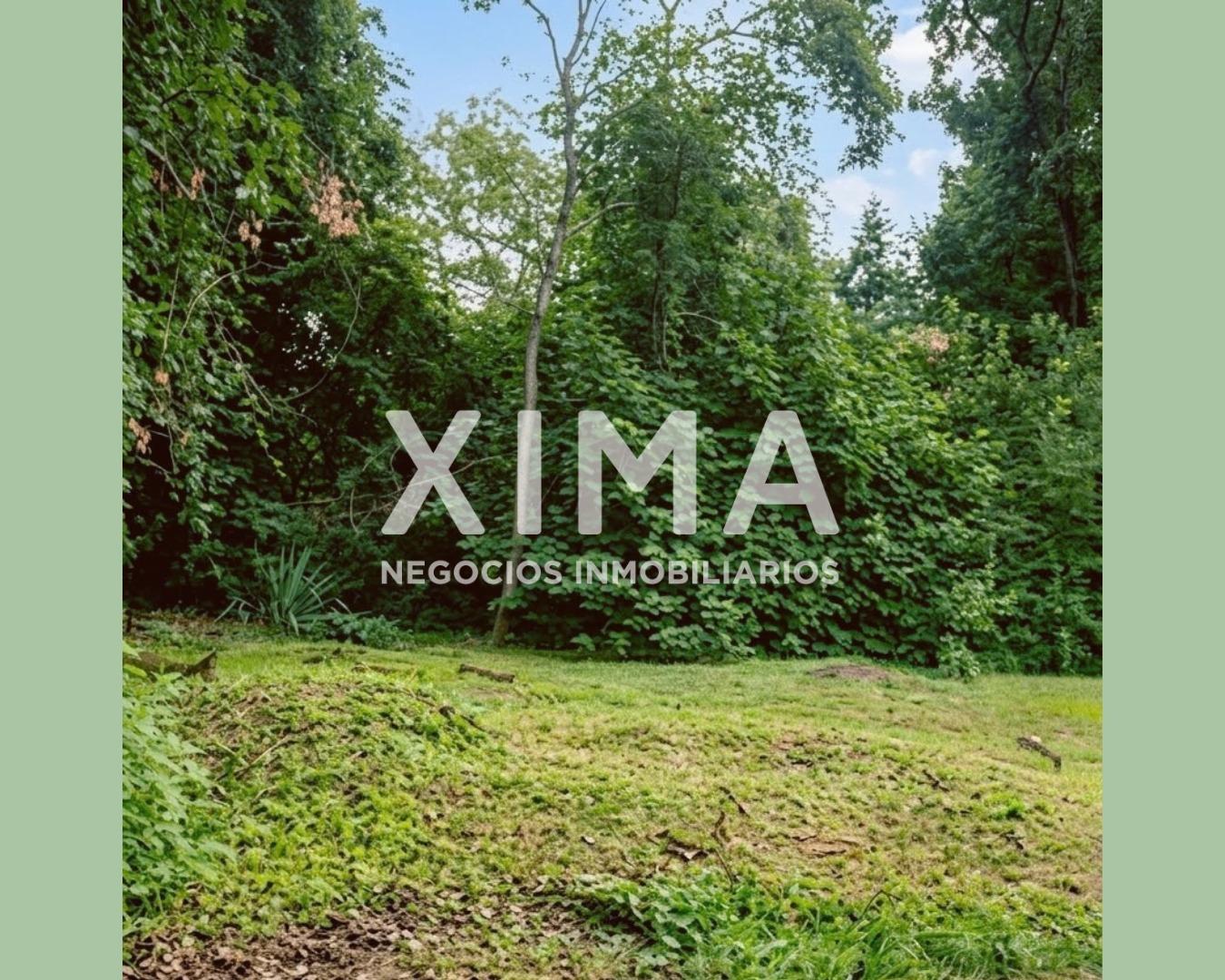 Foto de Terreno en venta en San Lorenzo, imagen 3