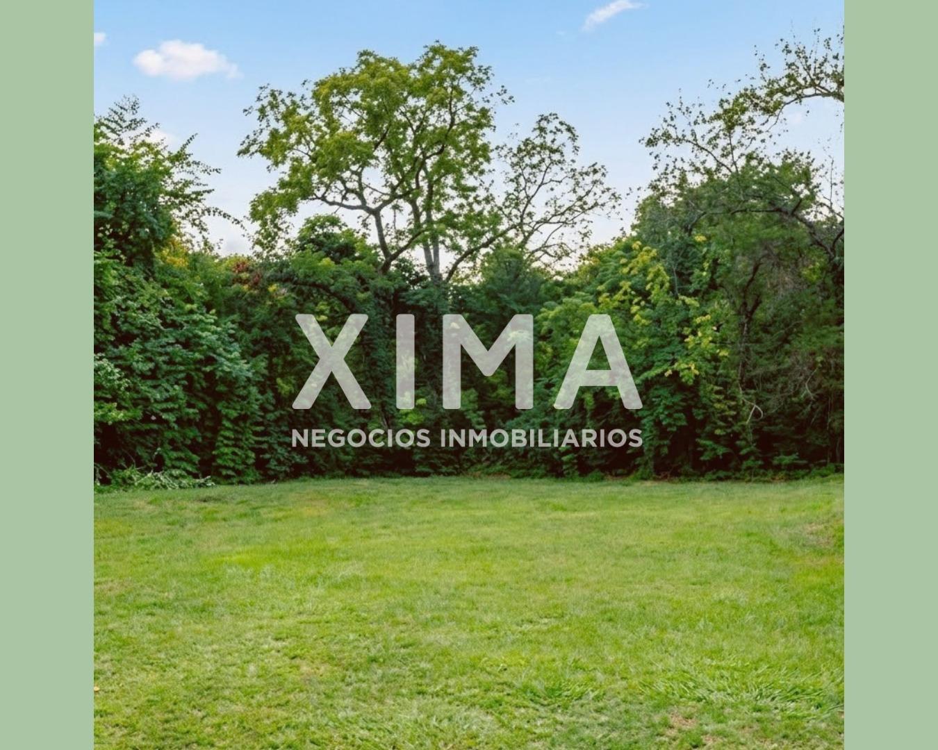 Foto de Terreno en venta en San Lorenzo, imagen 1