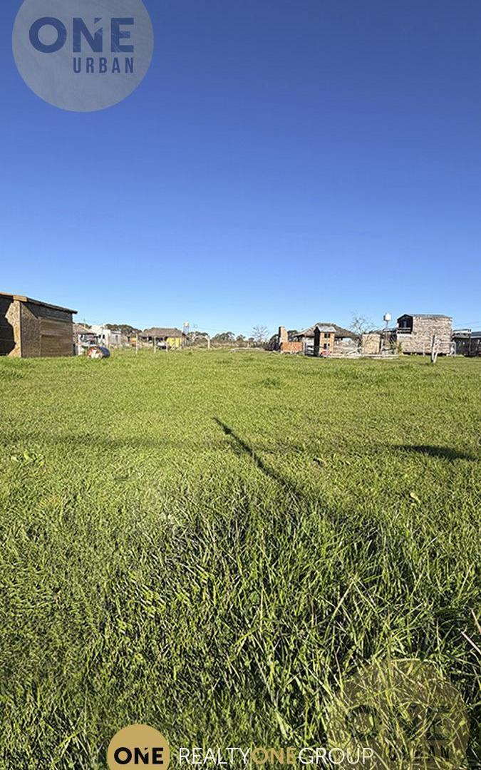 Foto de Terreno en Nueva Hermosura, imagen 3