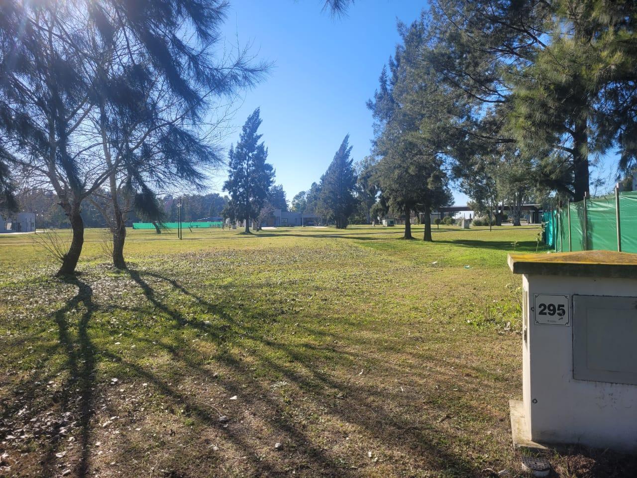 Foto de Terreno en Area 60, imagen 2
