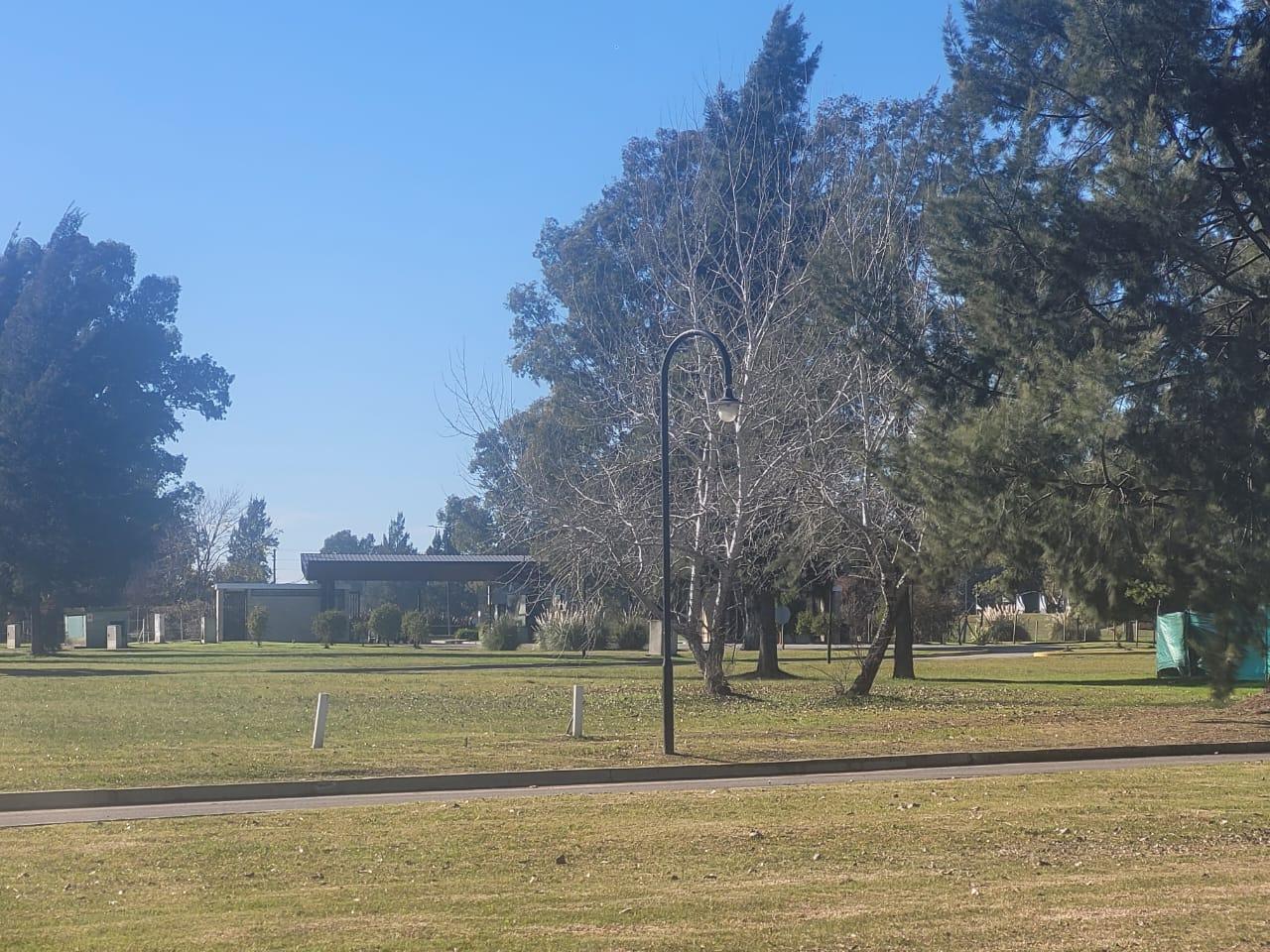 Foto de Terreno en Area 60, imagen 4