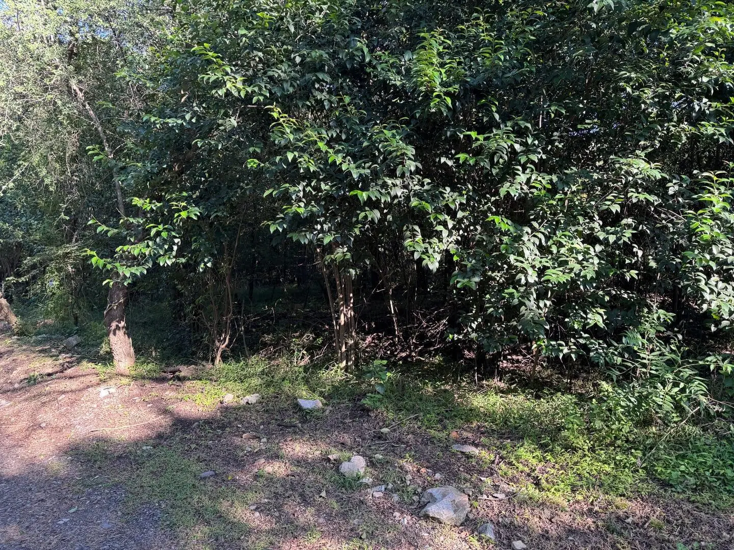Venta terreno único 1600 m2 estancia san miguel Rio ceballos! 5