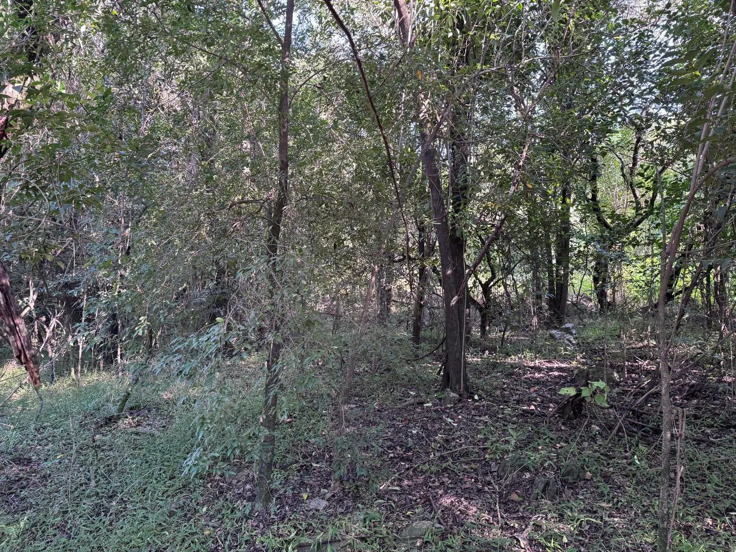 Venta terreno único 1600 m2 estancia san miguel Rio ceballos! 4
