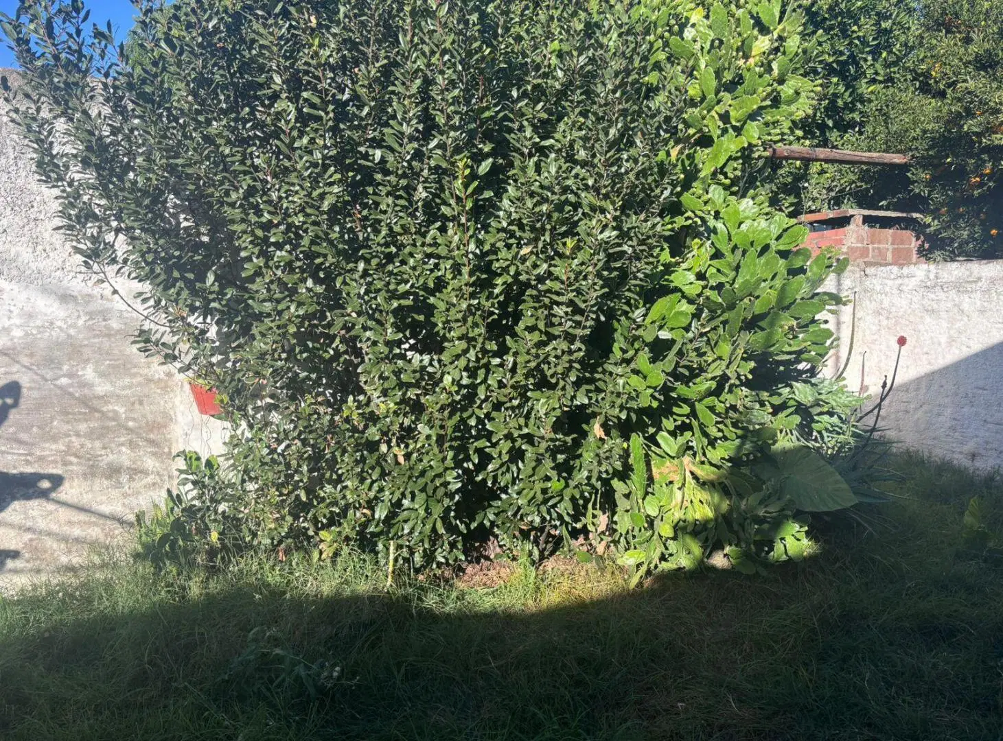 CASA EN VENTA ZONA RUTA 20 - AMEGHINO SUR 8