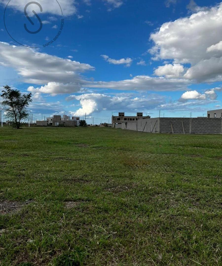 Foto de VENTA MACROLOTE DOCTA APTO DESARROLLO, imagen 4