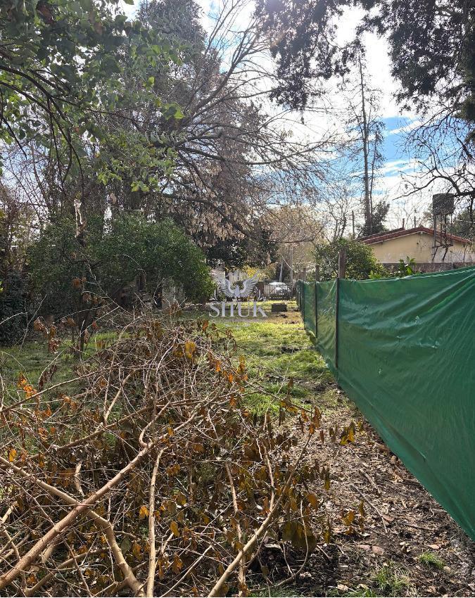 Foto de Terreno en Peruzzotti, imagen 2
