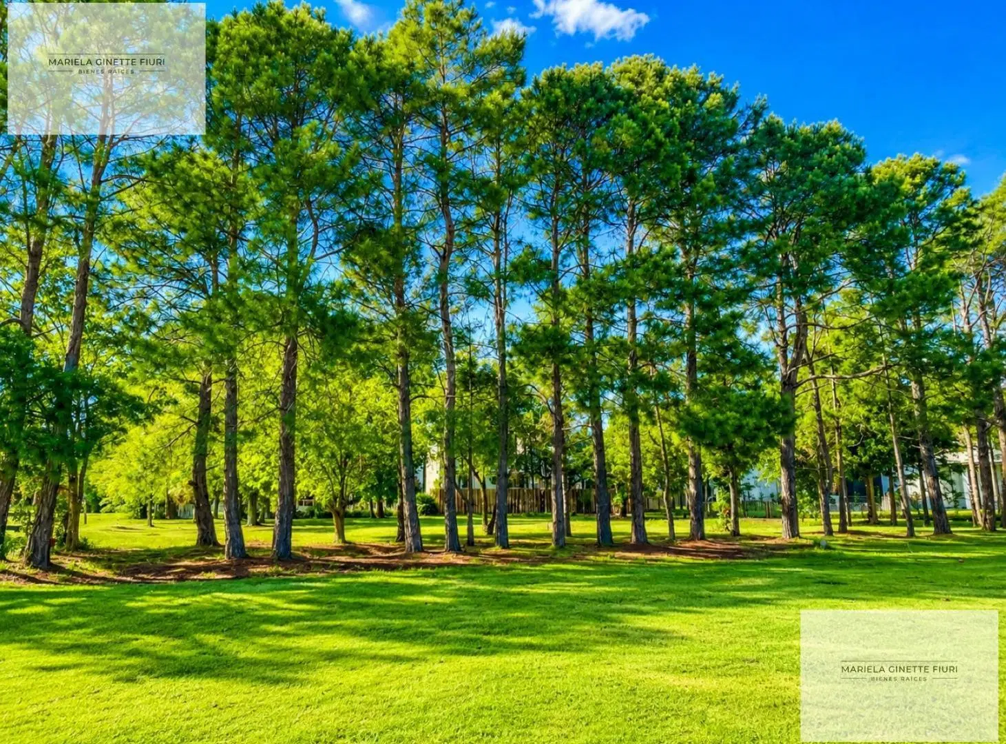 Terreno - Greenville Polo & Resort 5