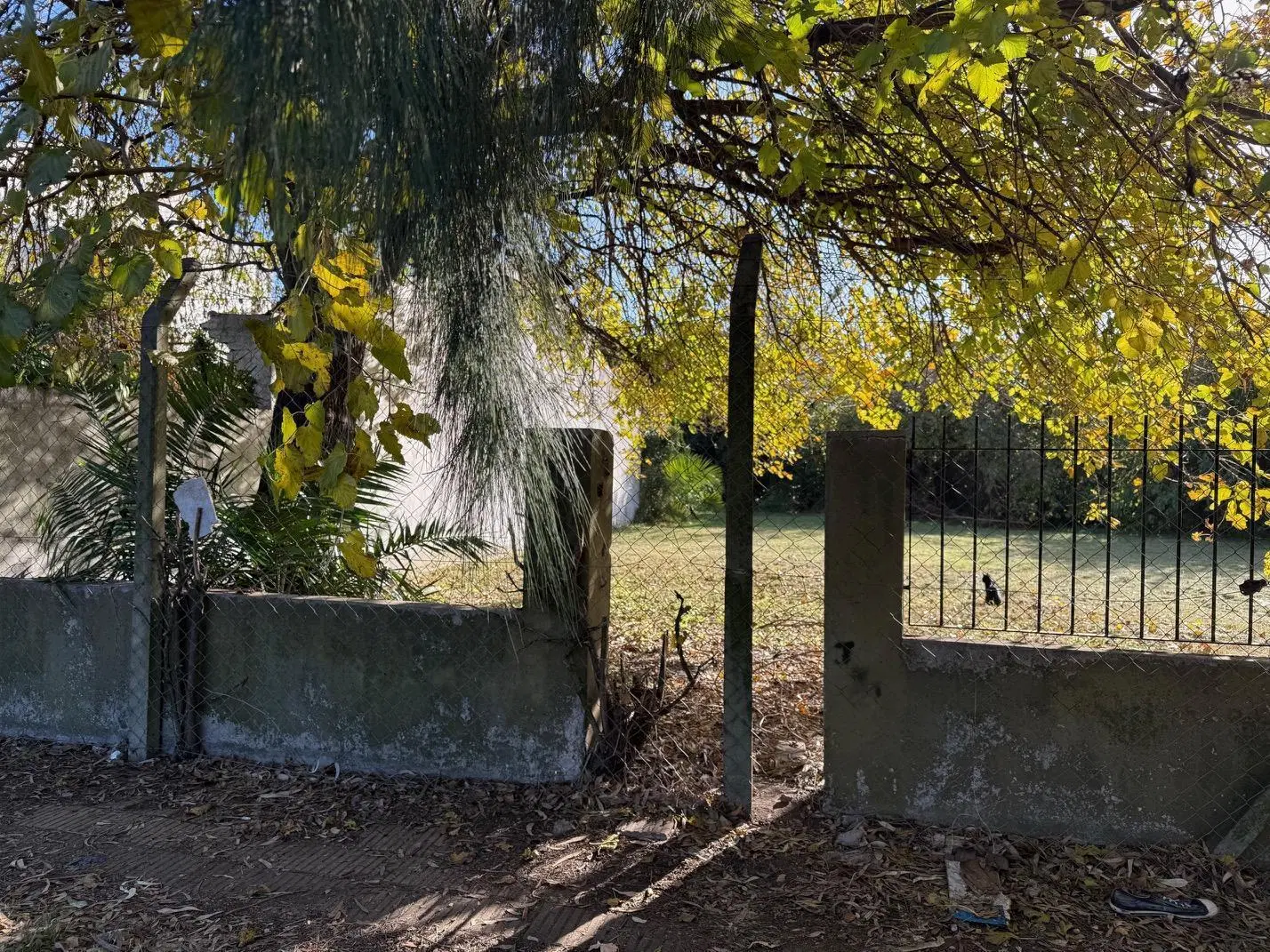 LOTE VENTA ITUZAINGO NORTE 5