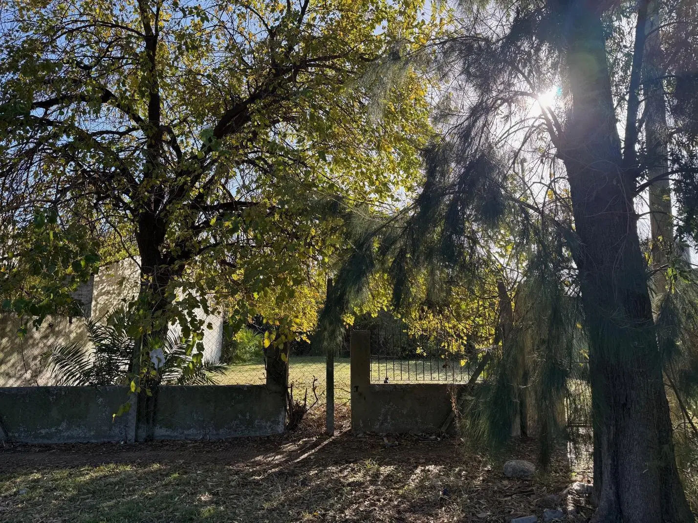 LOTE VENTA ITUZAINGO NORTE 2