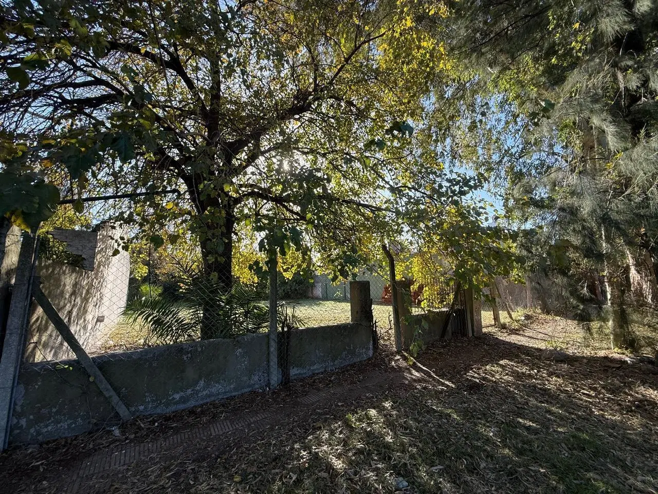 LOTE VENTA ITUZAINGO NORTE 2