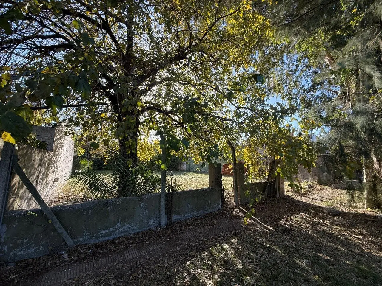 LOTE VENTA ITUZAINGO NORTE 3