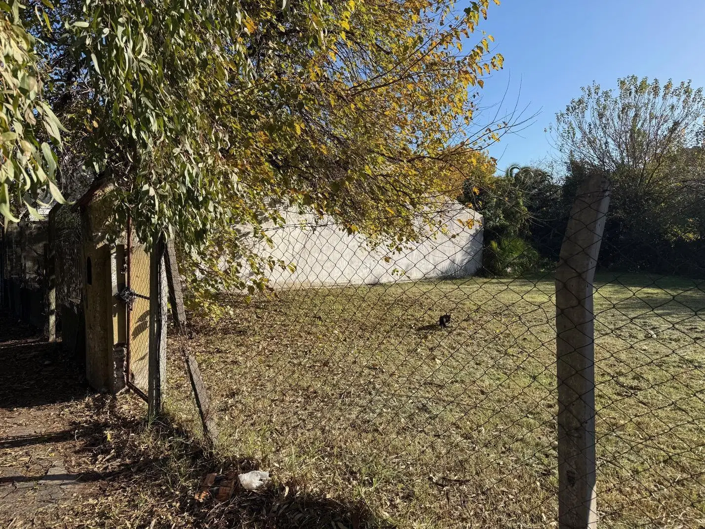 LOTE VENTA ITUZAINGO NORTE 8