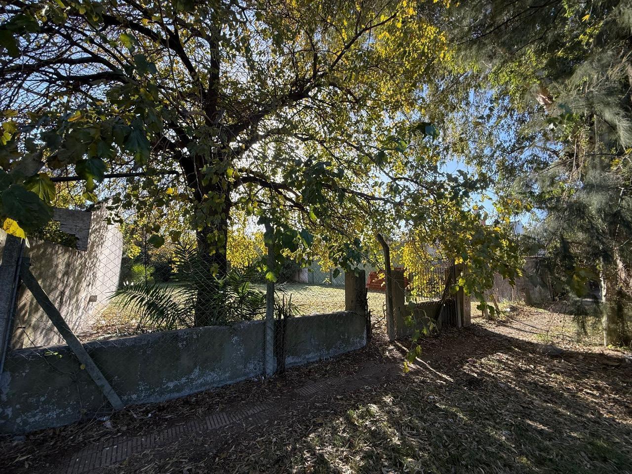 Foto de LOTE VENTA ITUZAINGO, imagen 3