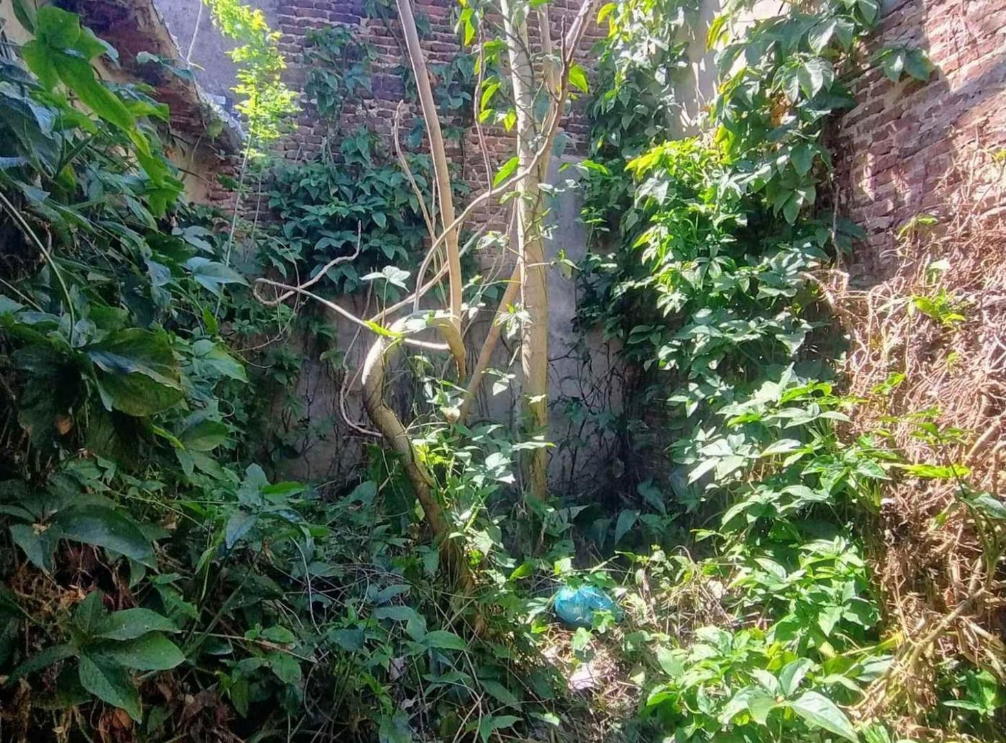 Foto de TERRENO EN TIGRE | ZUVIRÍA 575 | IDEAL DESARROLLO, imagen 4