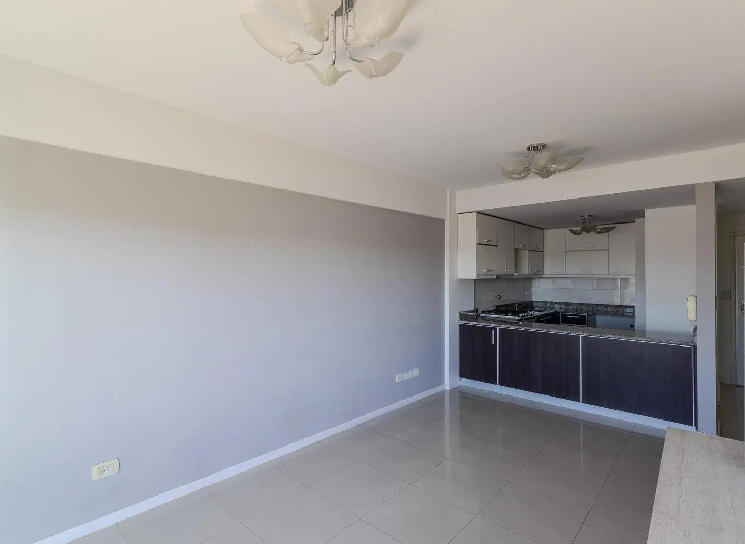 VENTA DPTO 3 AMB CON BALCON PARQUE CHACABUCO 4